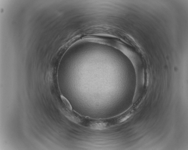 X0000087590217200705041517