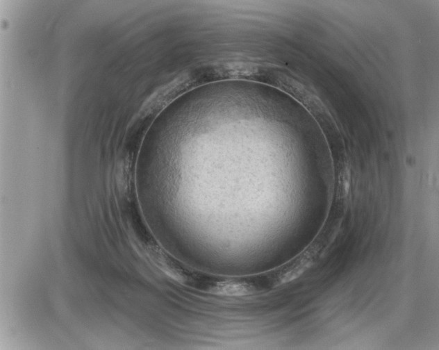 X0000087590218200705041517