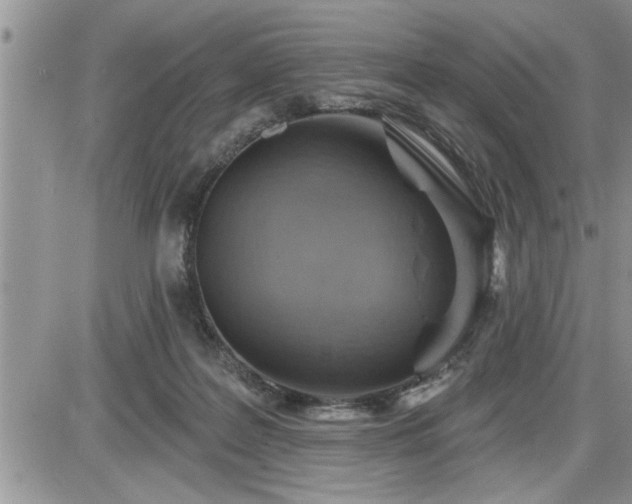 X0000087590219200705041517