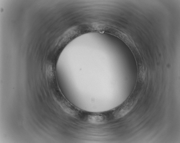 X0000087590220200705041517