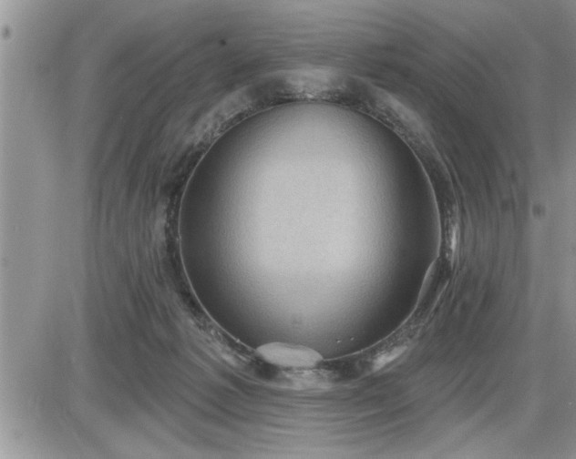 X0000087590221200705041517