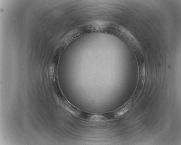 X0000087590222200705041517