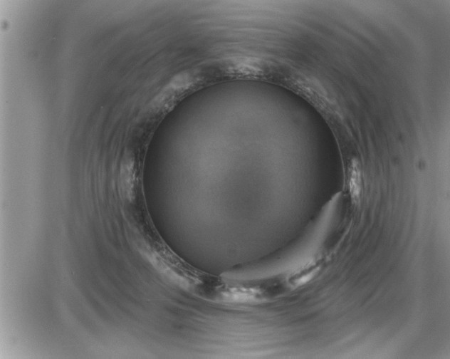 X0000087590223200705041517