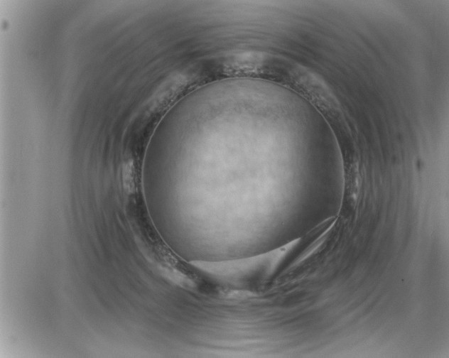 X0000087590224200705041517