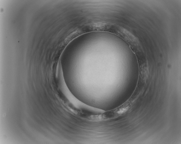 X0000087590225200705041517