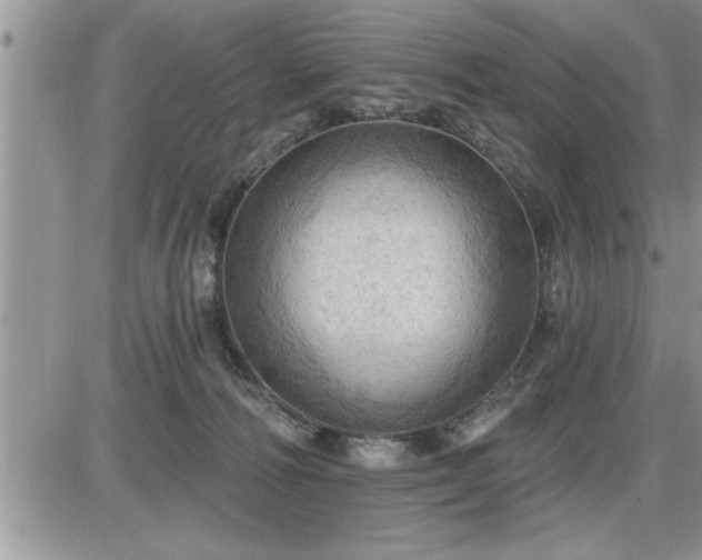 X0000087590226200705041517