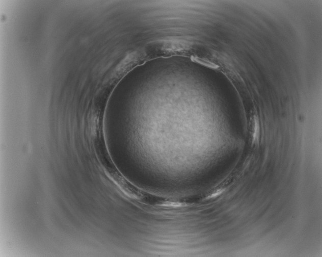 X0000087590227200705041517