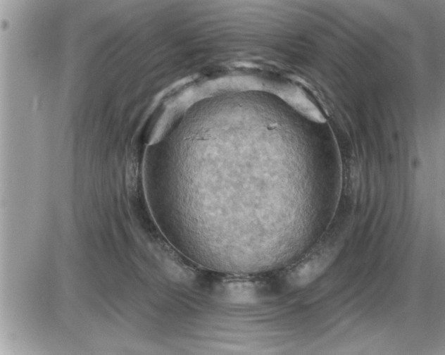 X0000087590228200705041517