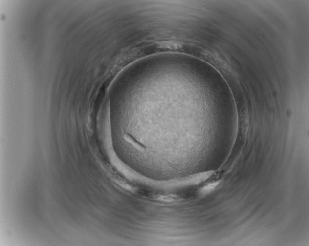 X0000087590229200705041517