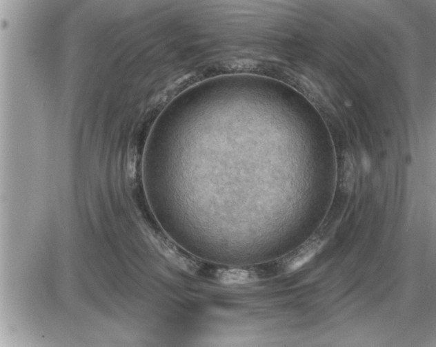 X0000087590230200705041517