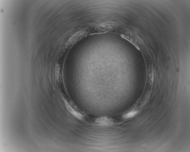 X0000087590231200705041517