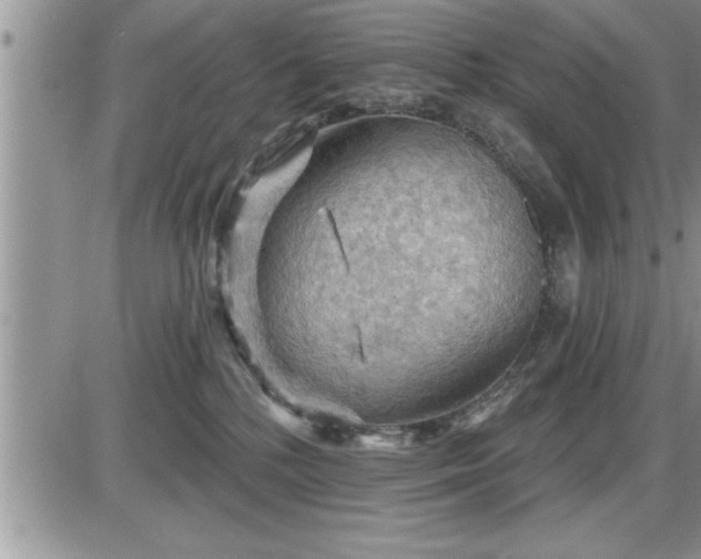 X0000087590232200705041517