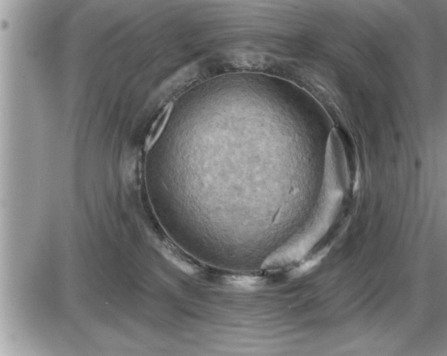 X0000087590233200705041517