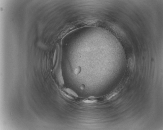 X0000087590234200705041517