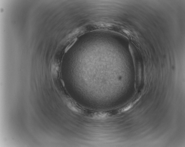 X0000087590235200705041517