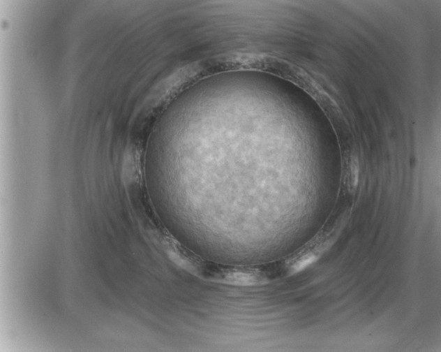 X0000087590236200705041517