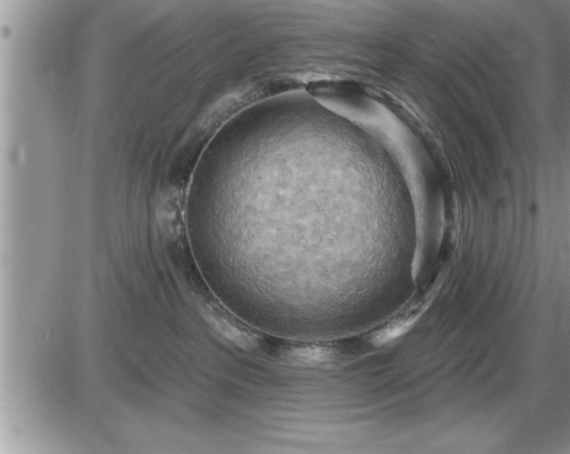 X0000087590237200705041517