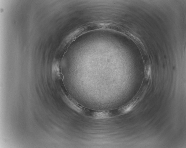 X0000087590238200705041517