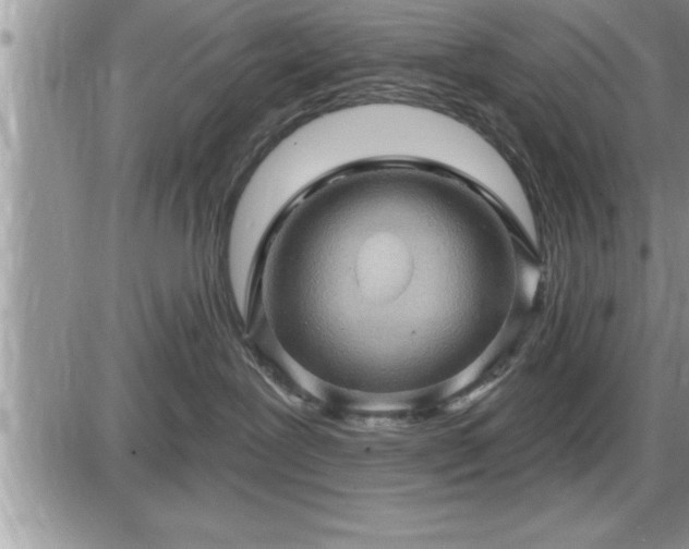 X0000087590239200705041517