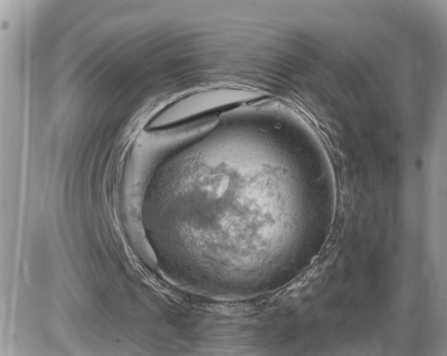 X0000087590241200705041516