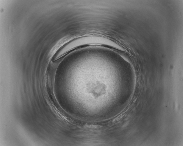 X0000087590242200705041516