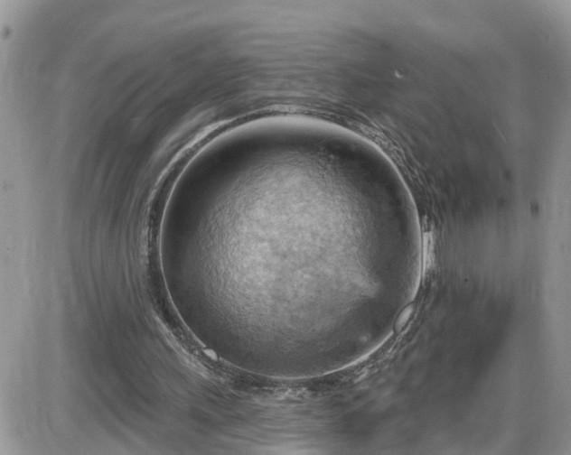 X0000087590243200705041516