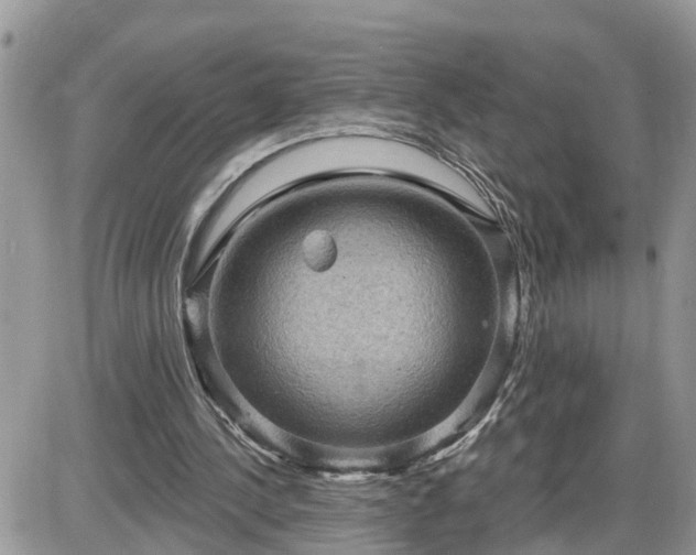 X0000087590244200705041516