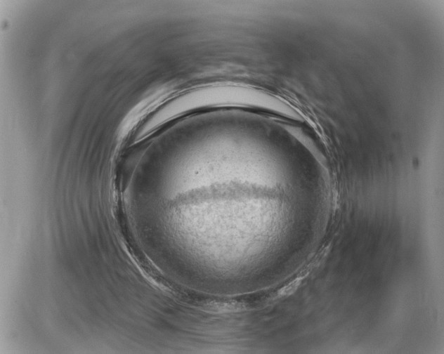 X0000087590245200705041516