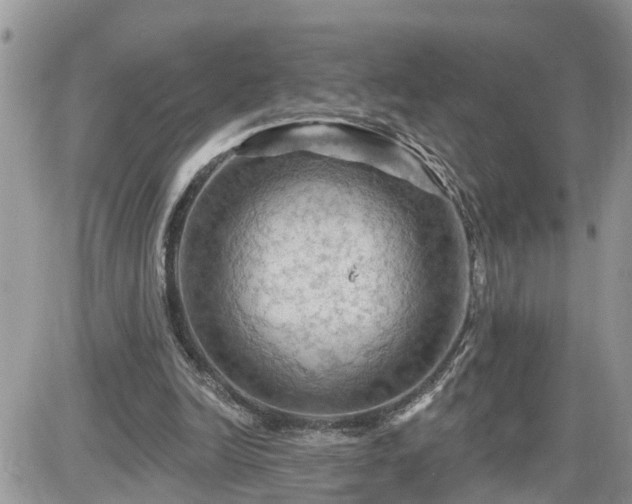 X0000087590246200705041516