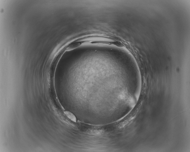 X0000087590247200705041516