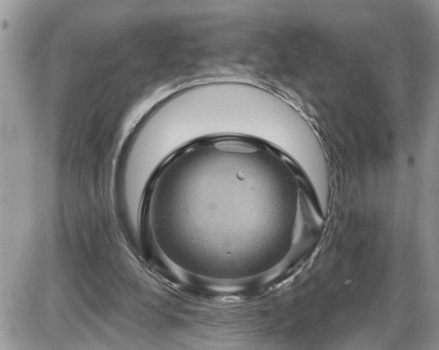 X0000087590248200705041516