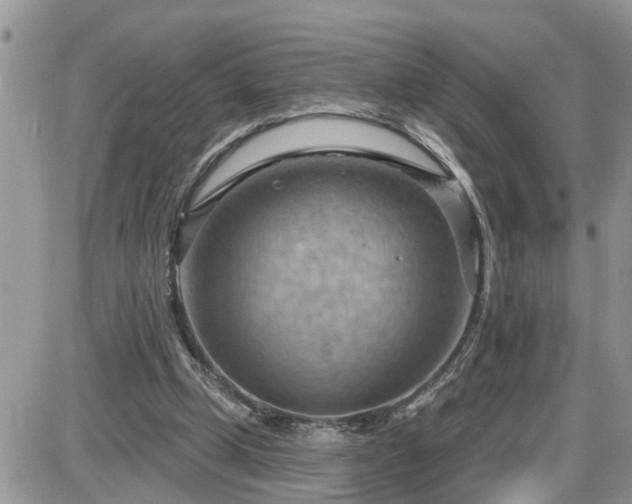 X0000087590249200705041516