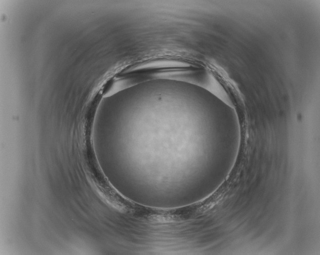 X0000087590250200705041516