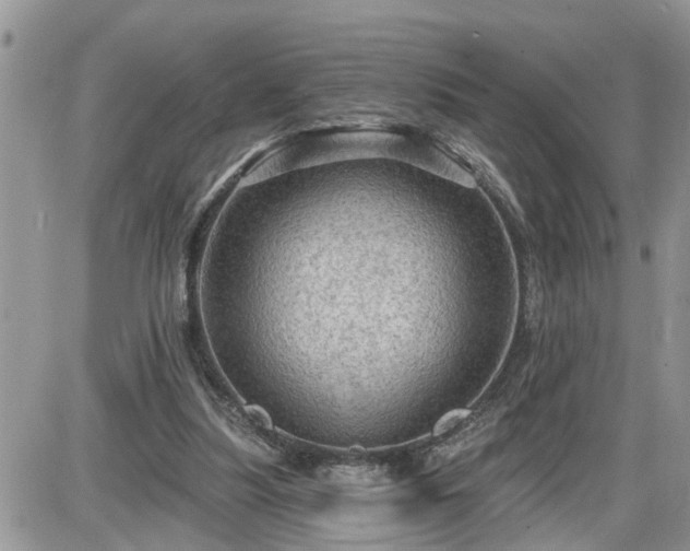 X0000087590251200705041516