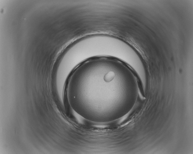 X0000087590252200705041516