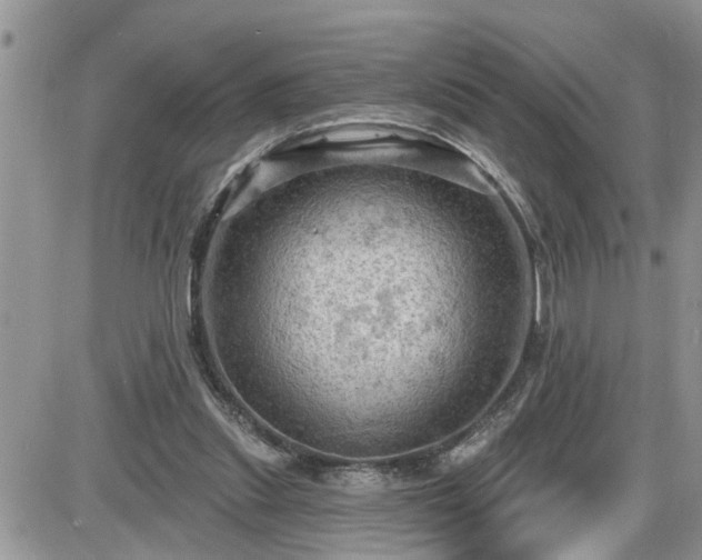 X0000087590253200705041516