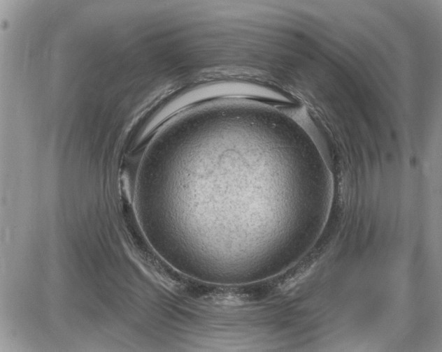 X0000087590254200705041516