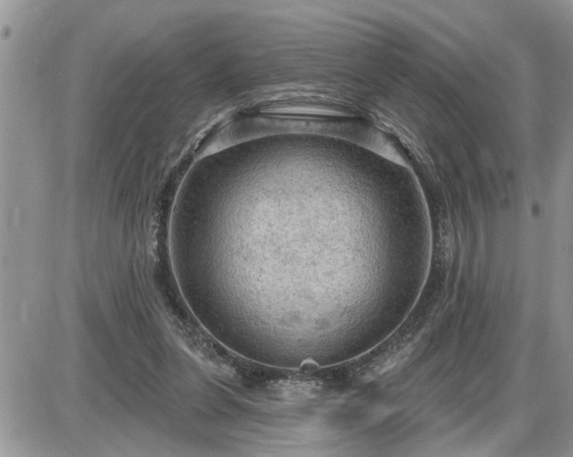 X0000087590255200705041516