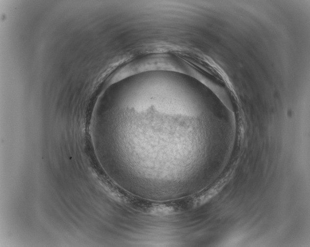 X0000087590257200705041516