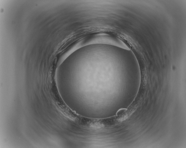 X0000087590258200705041516