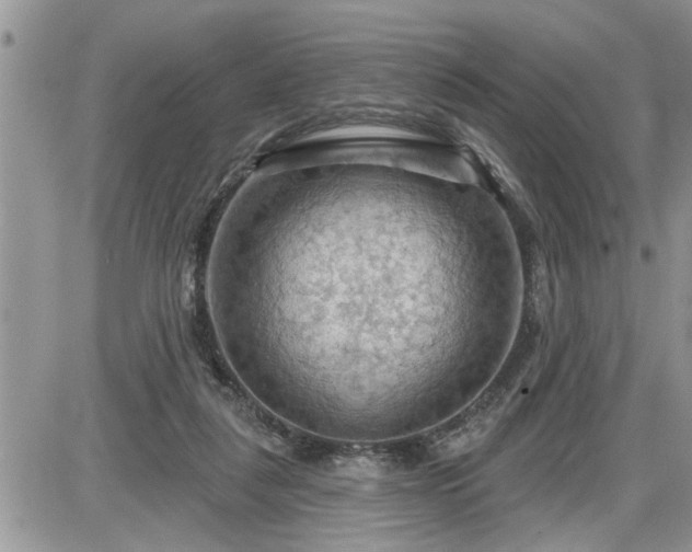 X0000087590259200705041516