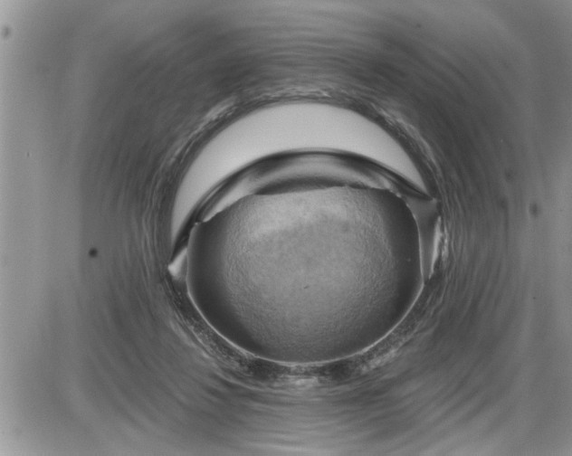 X0000087590260200705041516