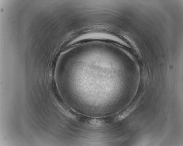 X0000087590261200705041516