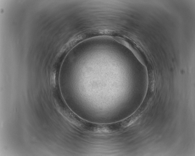 X0000087590262200705041516