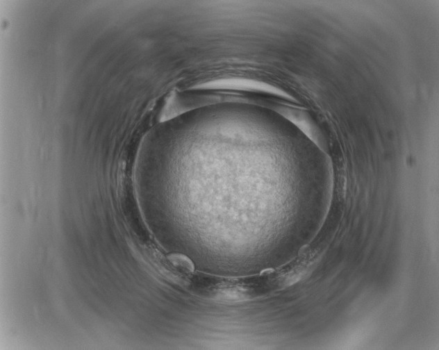 X0000087590263200705041516