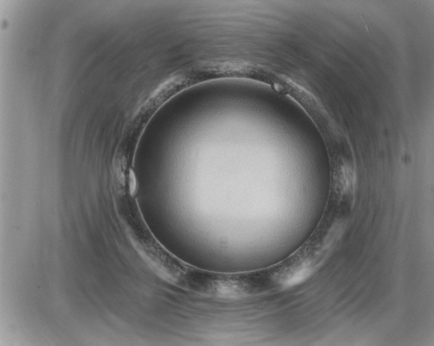 X0000087590264200705041516