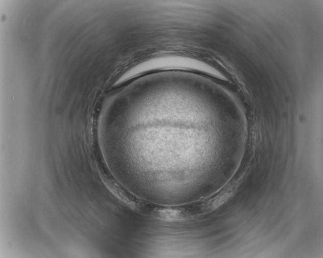 X0000087590265200705041516