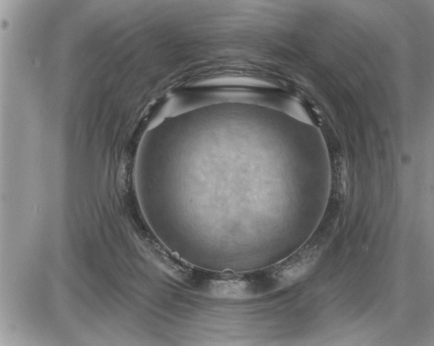 X0000087590266200705041516