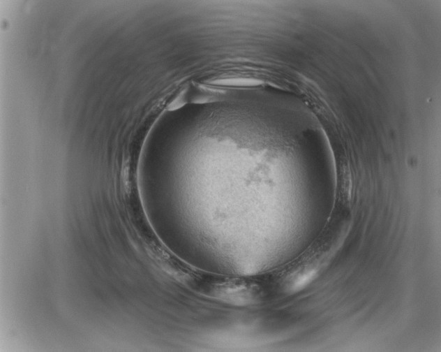 X0000087590267200705041516