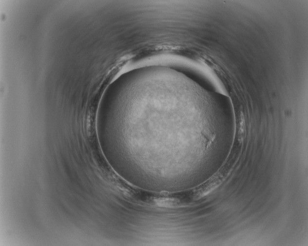 X0000087590268200705041516